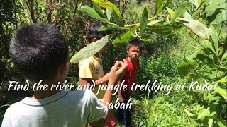 Vlog: Find the river and jungle trekking at #kudat #sabah