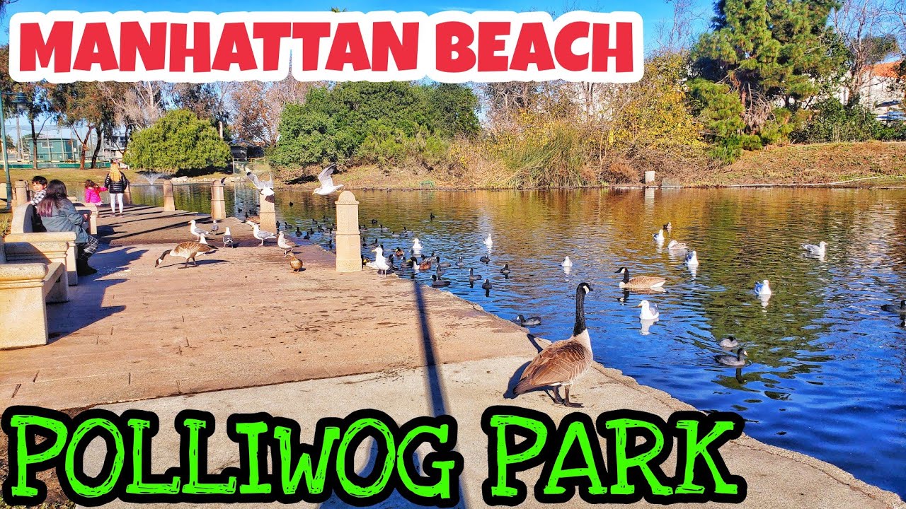 polliwog park manhattan beach california 2022. - YouTube