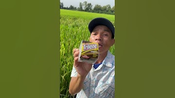 Cước câu cá dài 300m anh em mua vào đây : https://vt.tiktok.com/ZSHtbrV4LSo5D-Vobxs/ #xuhướng