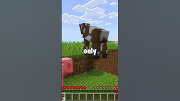 🧨 1 Subscriber = 1 TnT Minecraft