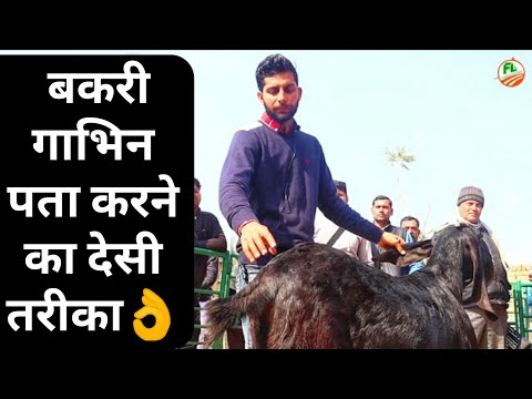 वीडियो: क्रीमिया और सेवस्तोपोल में परमाणु सुविधाएं