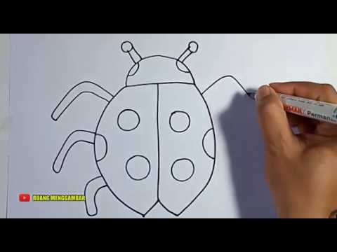 Video: Cara Menggambar Kumbang