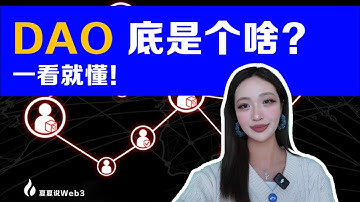 Web3的DAO 到底是个啥！