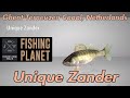 Fishing planet  unique zander  ghentterneuzen canal netherlands  fishing guide