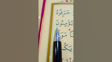 سورة العنكبوت الأية 24 إلى 25 القارئ سعد الغامدي