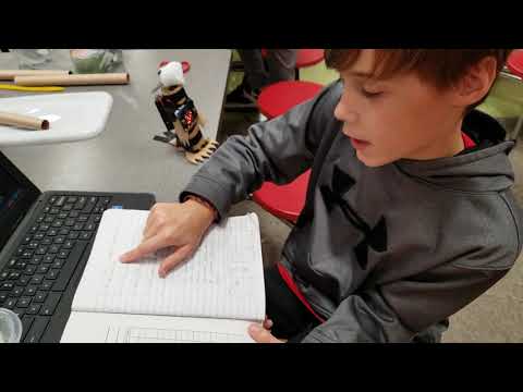 Design Process - Micro:Bit Digital Pet