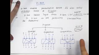 P- Box working with clear example in DES || Cryptography and Network Security