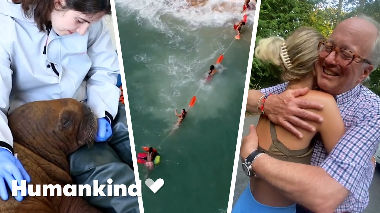 Best of the week: Teen's kind ding-dong ditch, a memorable tattoo, and a cuddly walrus | Humankind