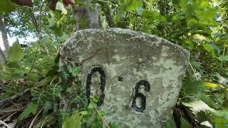 Stammersdorfer Lokalbahn Bhf. Stammersdorf Km 0.0 - Bhf. Pillichsdorf Km 13.5