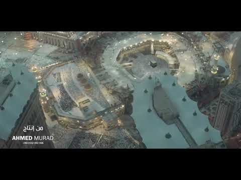 أنشودة ياطيبة المنشد محمد زكريا العالي على مقام الكرد