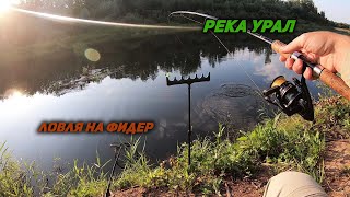 Фидерная ловля на реке Урал.