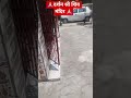🙏🏻दर्शन श्री शिव मंदिर 🙏🏻#shortvideo #mandir #lucknow