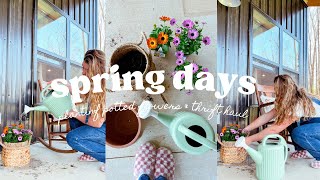 Spring days | planting potted flowers | thrift haul | garden finds haul