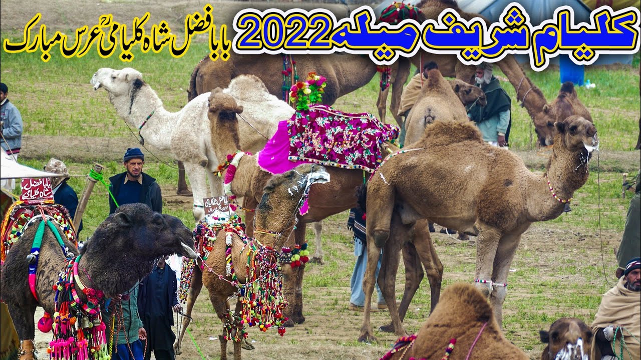 Kalyam Sharif Mela 2022 | Baba Fazal Shah Kalyami | Full Mela Movie Full HD Part 2