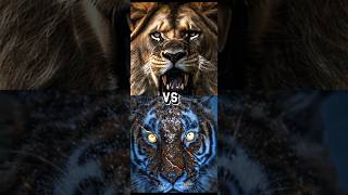 TIGER VS LION,LIGER,JAGUAR,TOP BIGGEST CAT. screenshot 1