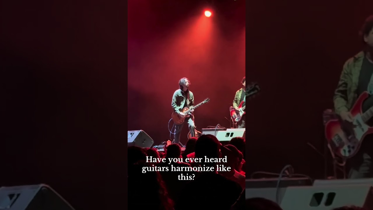 Have you listened to our new album? ‘IT SMELLS LIKE GINGER’ 