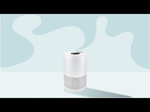 6 Best Air Purifiers for Allergies, Pets, Mold, and Smoke | Tita TV