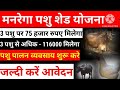 मनरेगा पशु शेड योजना आवेदन करें । पात्रता, दस्तावेज, लाभ के बारे में जानें । नया नियम । Modi Yojana