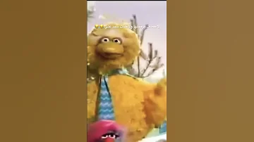 لا حضت برجيلها ولا خذت سيد علي ضحك ضحك حتى البكاء Shorts 