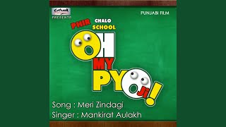 Meri Zindagi