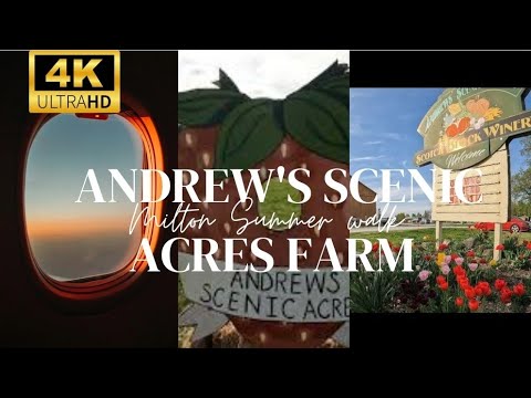 Andrew's Scenic Acres Farm Market & Winery, Milton 4k UHD