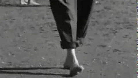 Bert Haanstra, Alleman 1963