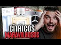 Perfumes CÍTRICOS incríveis e MODERNOS!