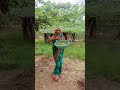 Song Geet Lokgeet Folksong Rajasthani Weddingmusic Vivahgeet Awadhilokgeesohar Song Geet Lokgeet Folksong Rajasthani Weddingmusic Vivahgeet Awadhilokgeesohar
