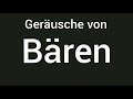 Geräusche von Bären 🔊