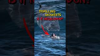 Thrilling Moments Is It Megalodon