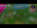 Whatsapp status {Collar Bone Amrit maan} Whatsapp Status Video Download Free