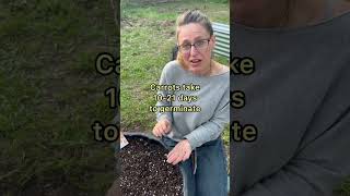 Easy To Grow Carrots | Planting Guide for Beginners | creative explained