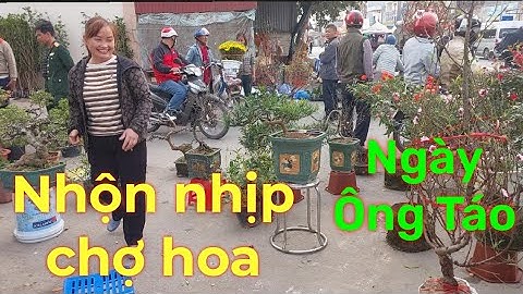 Tết Ông Công Ông Táo Nhộn Nhịp Chợ Bán Hoa Cây Cảnh