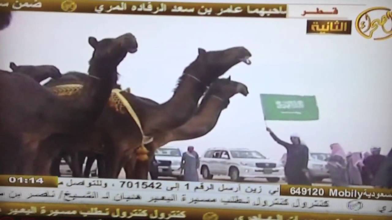 منقية الشيخ/ عبدالهادي بن سعيد بن قريش آل رشيد