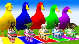 5 Giant Duck, Monkey, Piglet, chicken, dog, cat, lion, cow, Sheep, Transfiguration funny animal 2023