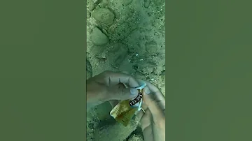 لقيت ايه في بحر دهب الجزء الثاني 