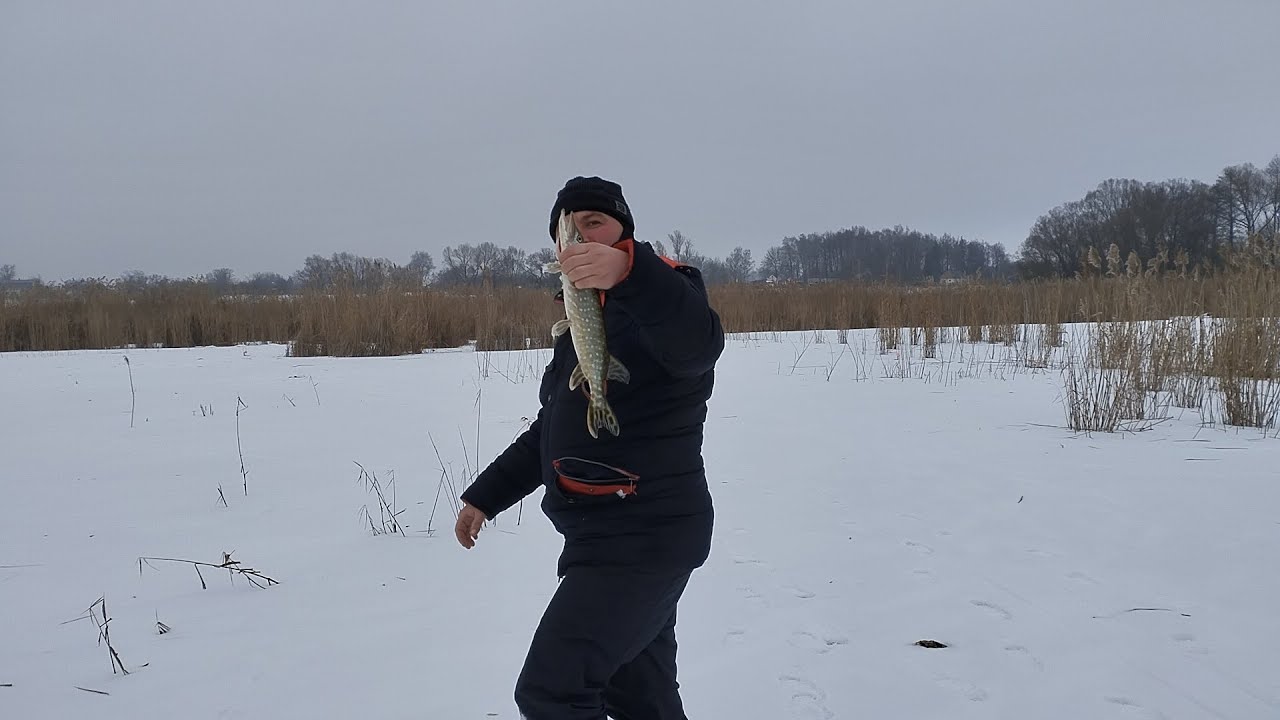 У пошуках ЩУКИ. Риболовля на жерлиці. Іваниця