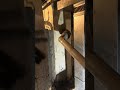 No heat 3 flashes pressure switch error code. Part 2 #hvac