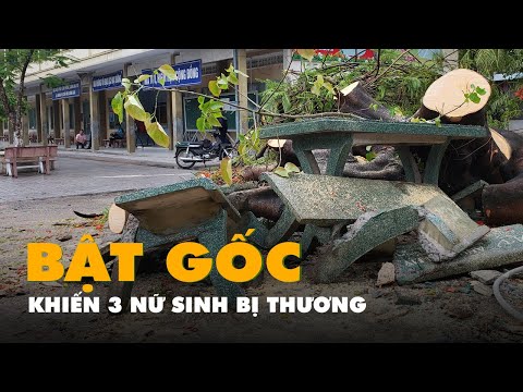 Video Phượng bật gốc giờ ra chơi, 3 nữ sinh ngồi ghế đá dưới... - YouTube