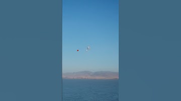 How can anyone miss an easy shot like this ! #duckhunting #hunting #duck @bossshotshells