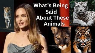 What Your Spirit Animal Says About Your Hidden Powers?
