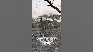 LARGEST CROC Ever Killed W/ a Bow and Arrow 🤯 #joshbowmar #archery #worldrecord #crocodile