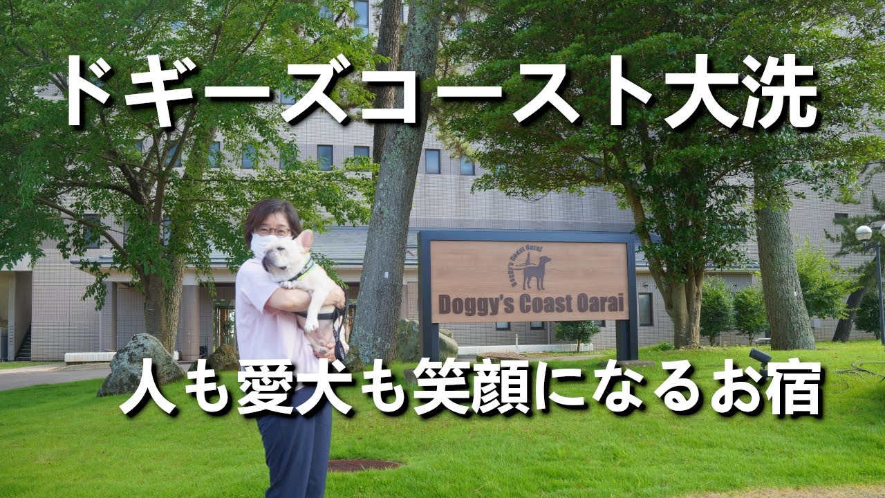【愛犬と夢の茨城旅】2025年4月オープン！ドギーズコースト大洗が愛犬ファーストすぎて感動の連続！