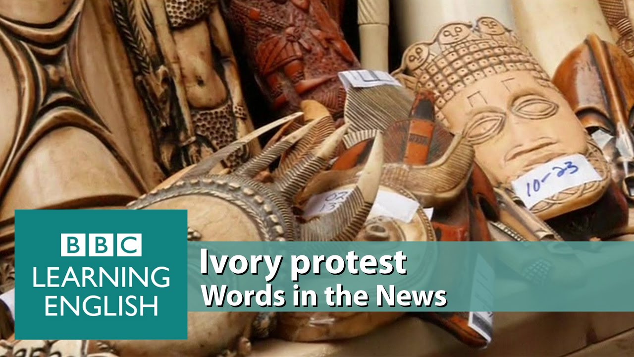 elton john Ivory protest. Learn: ornaments, confiscated, illegal, slaughtered, crushed