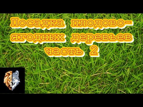 Посадка плодовых и ягодных деревьев..mp4