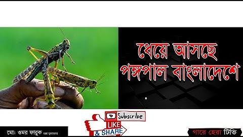 pongopal Swarm Of Locusts DEVOUR Everything In Their Path | Planet Earth | BBC Earth