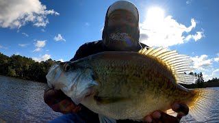 видео: Осенний улов краппи просто огонь! картинка: Осенний улов краппи просто огонь!