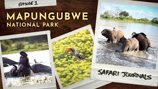 Safari Journals: Mapungubwe National Park | Ep. 1