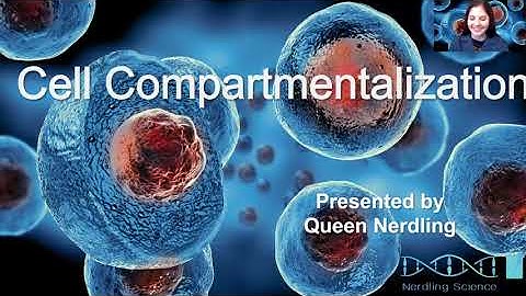 Cell Compartmentalization