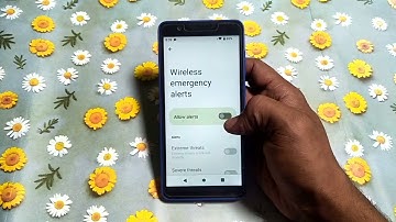 how to turn on allow alerts nokia C3